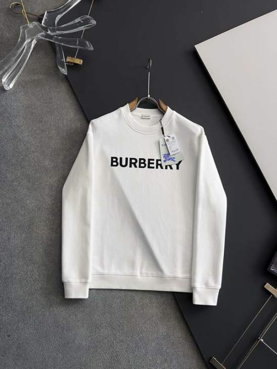 Picture of Burberry Sweatshirt _SKUBurberryS-2XLtltx24331023